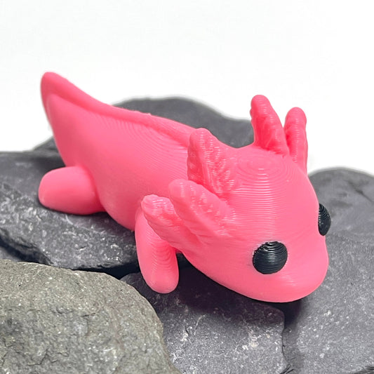 Axolotl Model